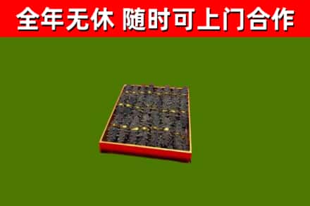 韶山回收海参
